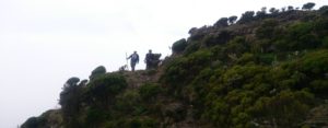Hiking Elephant hills aberdares