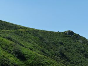 Elephant hills, Aberdares.