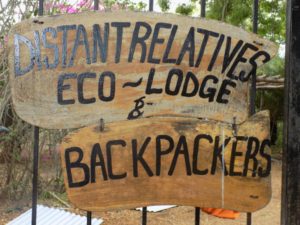 Distant relatives - Kilifi Backpackers