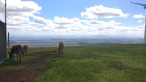 Best Travel Photos of 2017 - Hiking The Ngong Hills Kenya