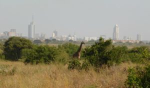 Nairobi Outskirts Day Tour - Giraffe at Nairobi National park