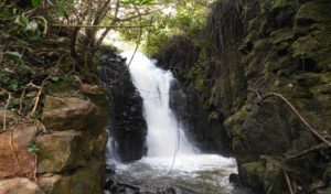 Chinga Dam WaterFall - The 8 Best Places to Visit in Nyeri County in One Day