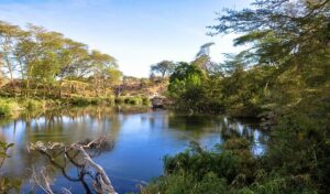 Tsavo National Parks in Kenya