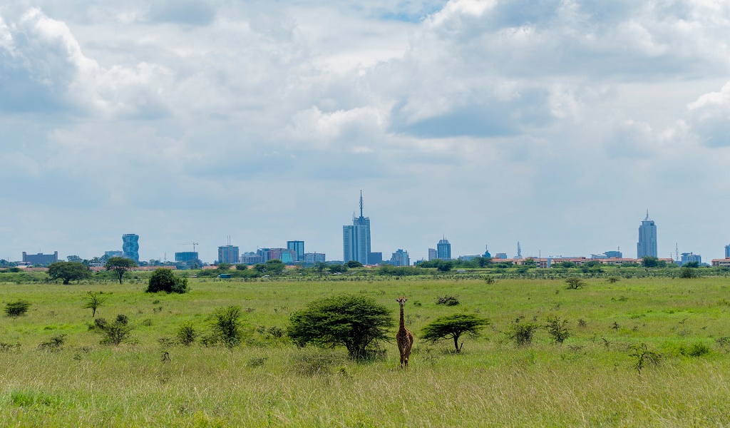 Kenya Travel Guide Nairobi Photo