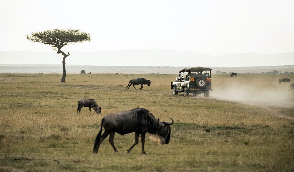 Tours and Travel at Masai Mara National Reserve, Kenya