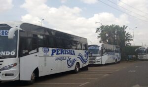 Periska Bus Online Booking and Contacts