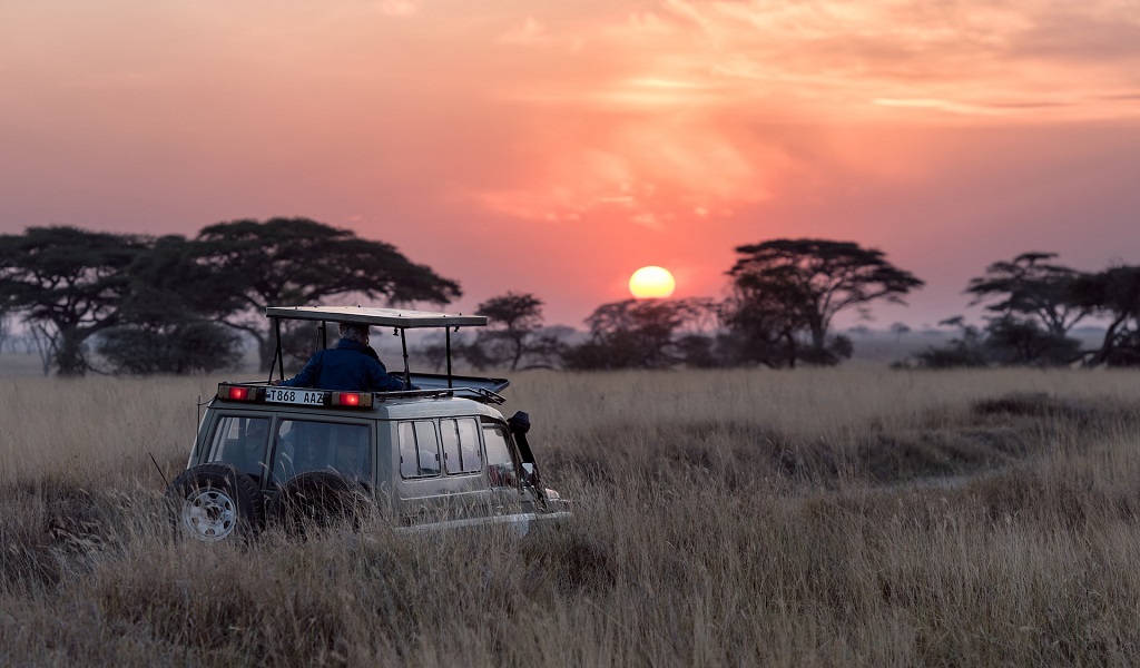 Top 25 Most Exciting Things to Do in Tanzania